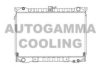 AUTOGAMMA 100611 Radiator, engine cooling